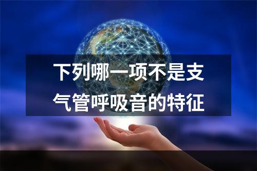 下列哪一项不是支气管呼吸音的特征