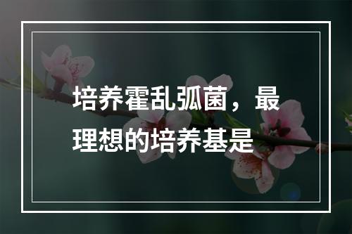 培养霍乱弧菌，最理想的培养基是