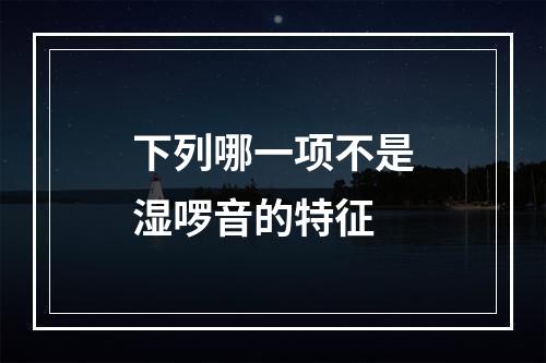 下列哪一项不是湿啰音的特征