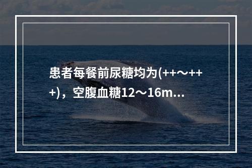 患者每餐前尿糖均为(++～+++)，空腹血糖12～16mmo