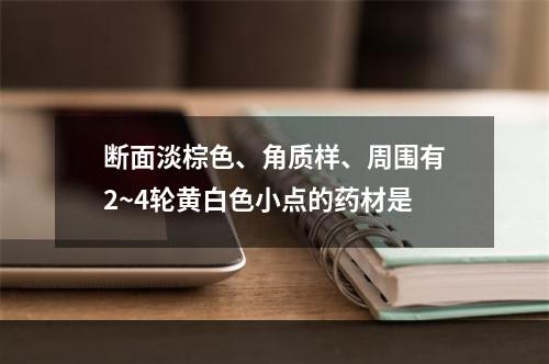 断面淡棕色、角质样、周围有2~4轮黄白色小点的药材是