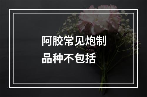 阿胶常见炮制品种不包括