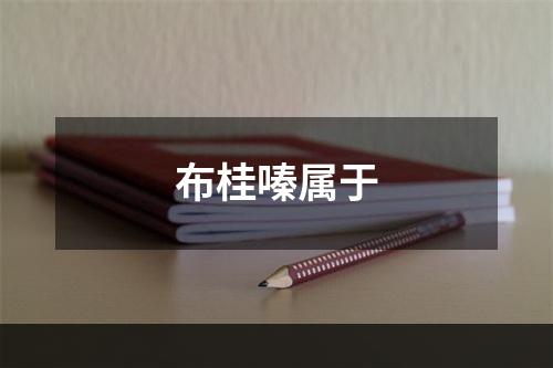 布桂嗪属于