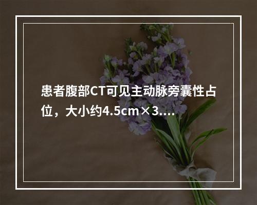 患者腹部CT可见主动脉旁囊性占位，大小约4.5cm×3.9c