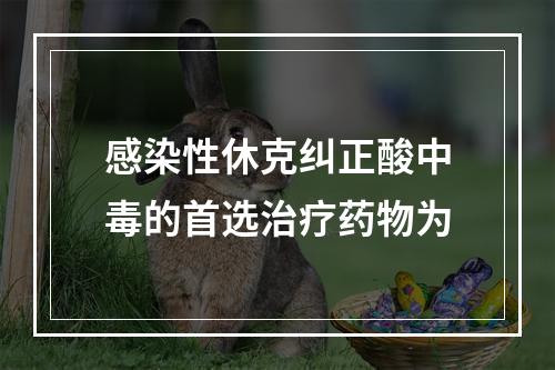 感染性休克纠正酸中毒的首选治疗药物为