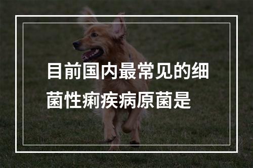 目前国内最常见的细菌性痢疾病原菌是