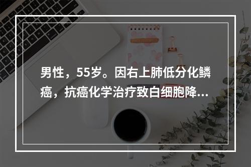 男性，55岁。因右上肺低分化鳞癌，抗癌化学治疗致白细胞降低，