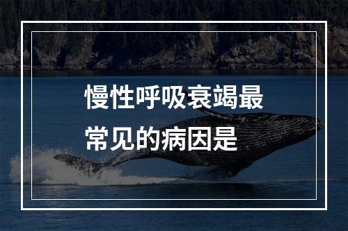 慢性呼吸衰竭最常见的病因是