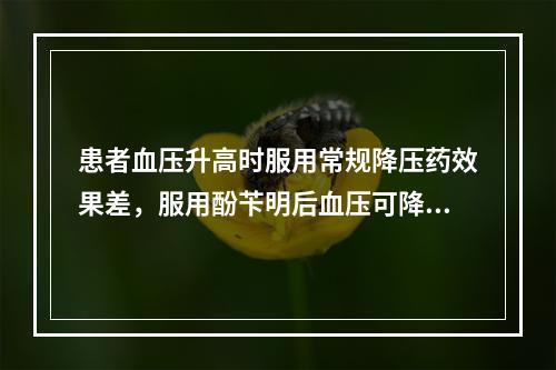 患者血压升高时服用常规降压药效果差，服用酚苄明后血压可降至正