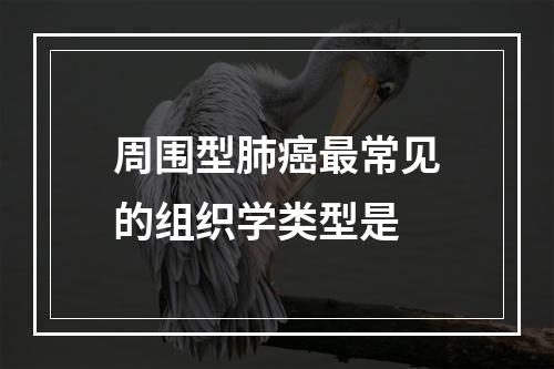 周围型肺癌最常见的组织学类型是