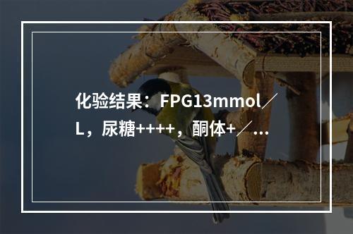 化验结果：FPG13mmol／L，尿糖++++，酮体+／-，