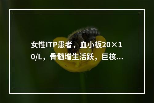 女性ITP患者，血小板20×10/L，骨髓增生活跃，巨核细胞