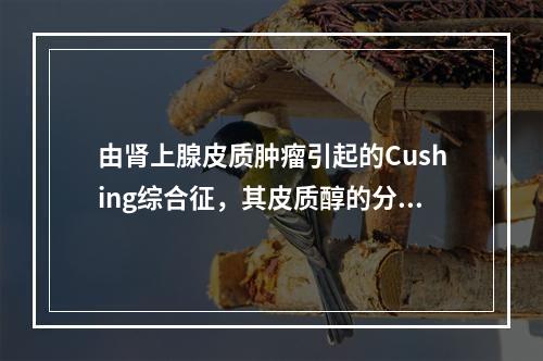 由肾上腺皮质肿瘤引起的Cushing综合征，其皮质醇的分泌