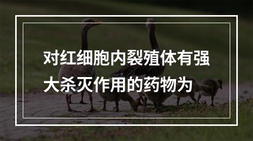 对红细胞内裂殖体有强大杀灭作用的药物为