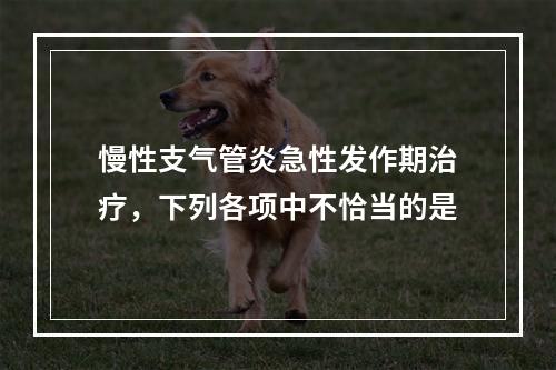 慢性支气管炎急性发作期治疗，下列各项中不恰当的是