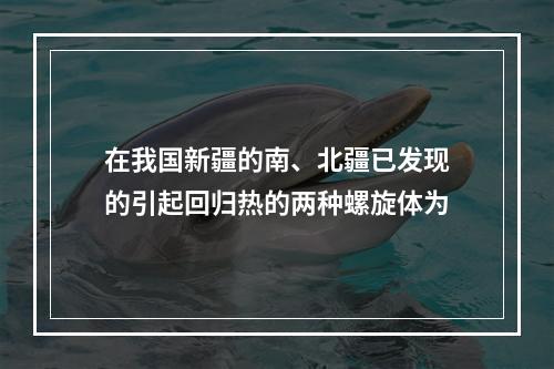 在我国新疆的南、北疆已发现的引起回归热的两种螺旋体为