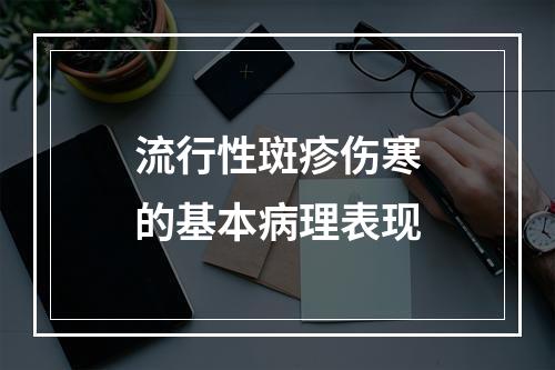 流行性斑疹伤寒的基本病理表现