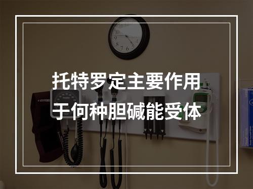 托特罗定主要作用于何种胆碱能受体