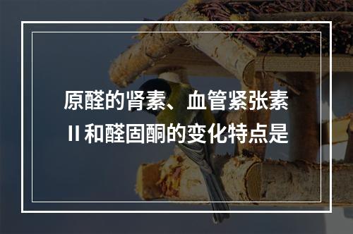 原醛的肾素、血管紧张素Ⅱ和醛固酮的变化特点是