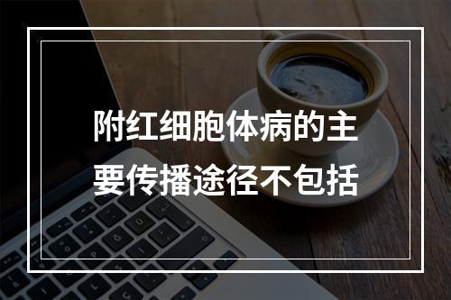 附红细胞体病的主要传播途径不包括