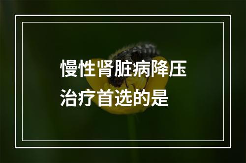 慢性肾脏病降压治疗首选的是