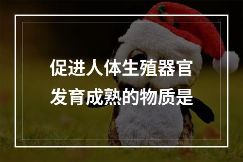 促进人体生殖器官发育成熟的物质是