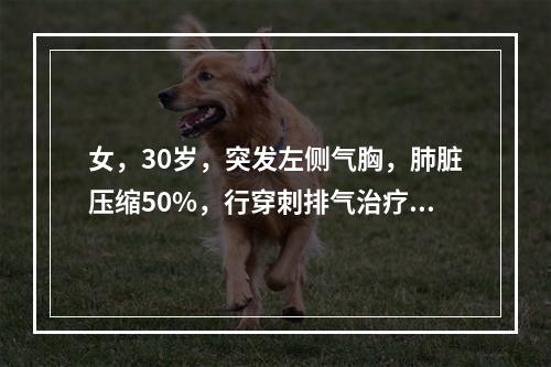 女，30岁，突发左侧气胸，肺脏压缩50%，行穿刺排气治疗，抽