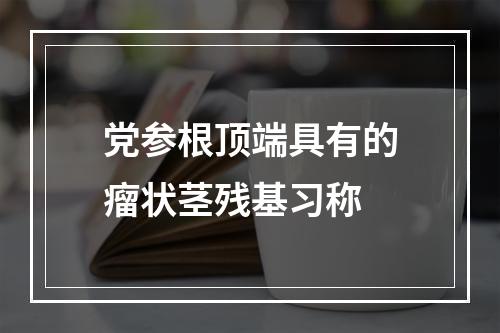 党参根顶端具有的瘤状茎残基习称