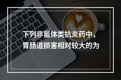 下列非甾体类抗炎药中，胃肠道损害相对较大的为