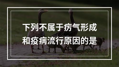 下列不属于疠气形成和疫病流行原因的是