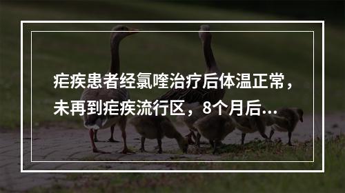 疟疾患者经氯喹治疗后体温正常，未再到疟疾流行区，8个月后再次