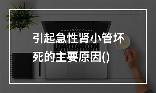 引起急性肾小管坏死的主要原因()