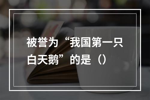 被誉为“我国第一只白天鹅”的是（）