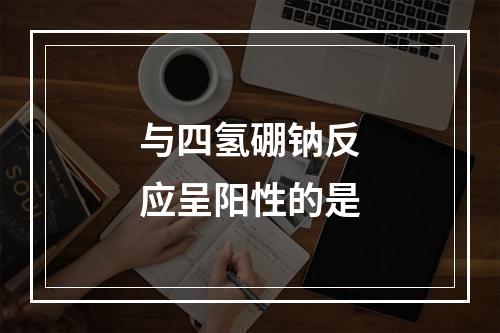 与四氢硼钠反应呈阳性的是