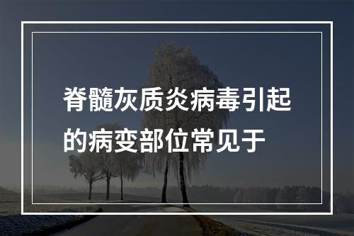 脊髓灰质炎病毒引起的病变部位常见于