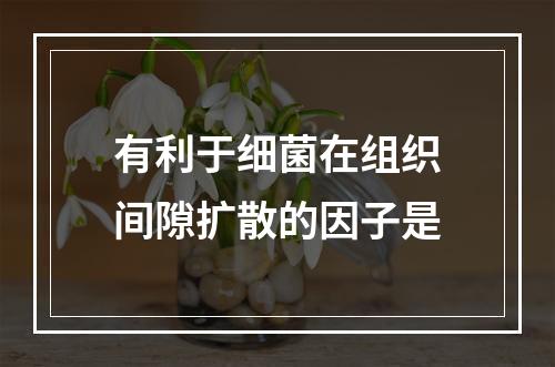 有利于细菌在组织间隙扩散的因子是