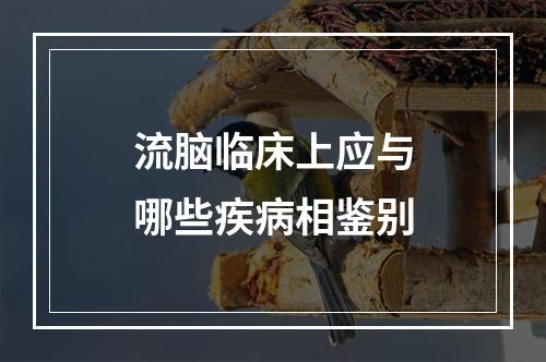 流脑临床上应与哪些疾病相鉴别