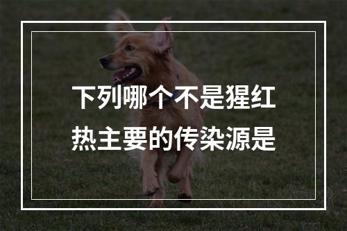 下列哪个不是猩红热主要的传染源是