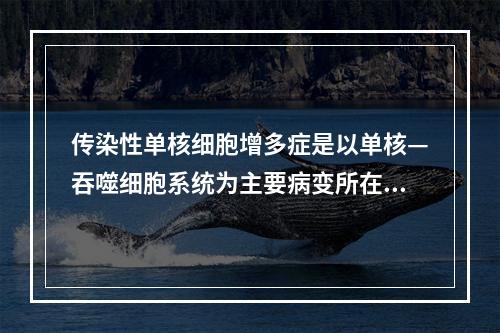 传染性单核细胞增多症是以单核—吞噬细胞系统为主要病变所在，其