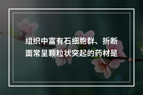 组织中富有石细胞群、折断面常呈颗粒状突起的药材是