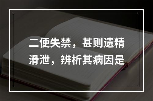 二便失禁，甚则遗精滑泄，辨析其病因是