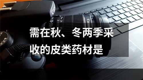 需在秋、冬两季采收的皮类药材是