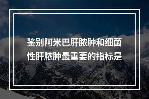 鉴别阿米巴肝脓肿和细菌性肝脓肿最重要的指标是