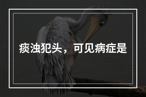 痰浊犯头，可见病症是