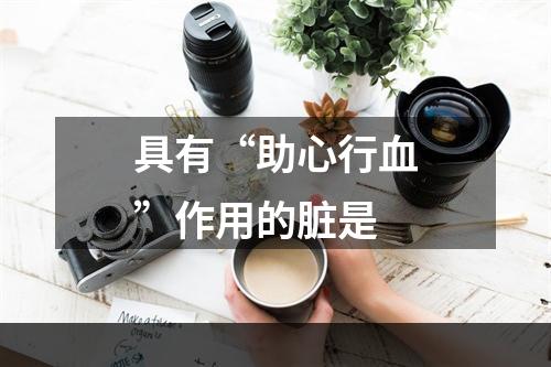 具有“助心行血”作用的脏是