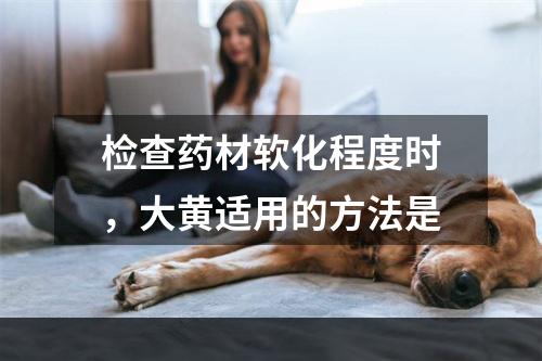 检查药材软化程度时，大黄适用的方法是