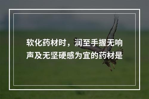 软化药材时，润至手握无响声及无坚硬感为宜的药材是