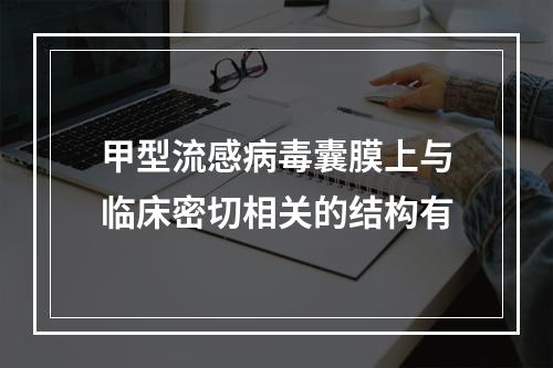 甲型流感病毒囊膜上与临床密切相关的结构有