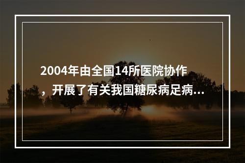 2004年由全国14所医院协作，开展了有关我国糖尿病足病现状