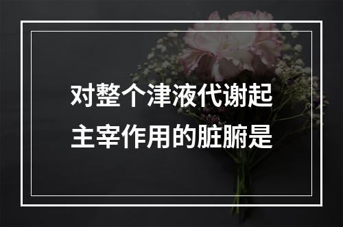 对整个津液代谢起主宰作用的脏腑是